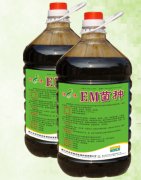 EM